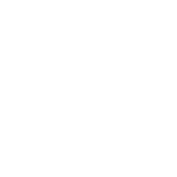 FlyBee Travels