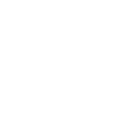 FlyBee Travels
